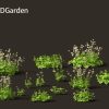 Astrantia major- greater masterwort Flower 3D Model - Image 11