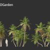 Bactris gasipaes – Peach Palm 3D Model - Image 5