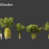 Brachychiton Rupestris - Queensland Bottle 3D Model - Image 2