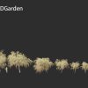 Burgundy Myrtle Willow 3D Model - Image 2