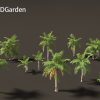 Caryota mitis - Fishtail Palm 3D Model - Image 13