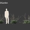 Cimicifuga simplex - bugbane 3D model - Image 4