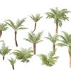 Dicksonia antarctica – Soft tree fern