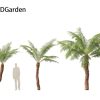 Dicksonia antarctica – Soft tree fern 3D Model - Image 7