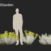 Euphorbia rigida - Upright Myrtle Spurge 3D Model - Image 6
