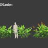 Heliconia metallica – Shining bird of paradise 3D Model - Image 7