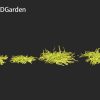 Lysimachia nummularia - Moneywort 3D Model - Image 7