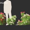 Pieris Japonica Forest Flame - Lily of the Valley bush 3D Model - Image 5