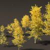 Populus balsamifera – Balsam poplar 02 Autumn Tree 3D Model - Image 3