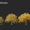 Quercus macrocarpa – Bur oak 3D Model - Image 6