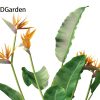 Strelitzia reginae – crane flower 3D Model - Image 4