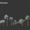 Bismarckia nobilis - Silver Bismarck Palm 04 Windy 3D Model - Image 3