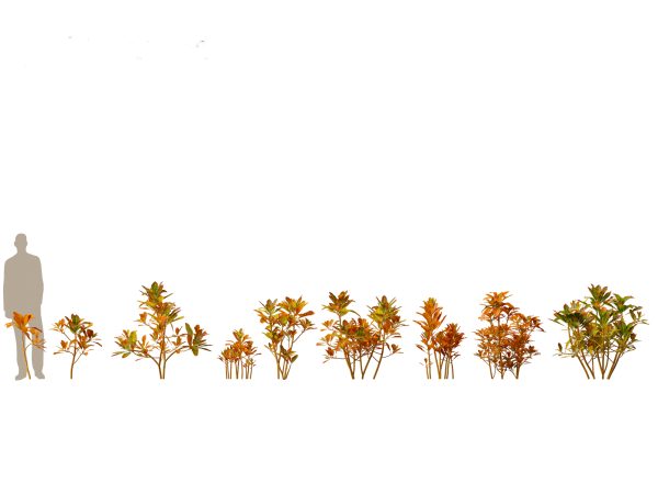 Jungle Foliage Pack 16 - Image 4