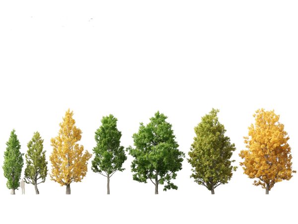 Parkland & Avenue Trees Pack 12 - Image 13