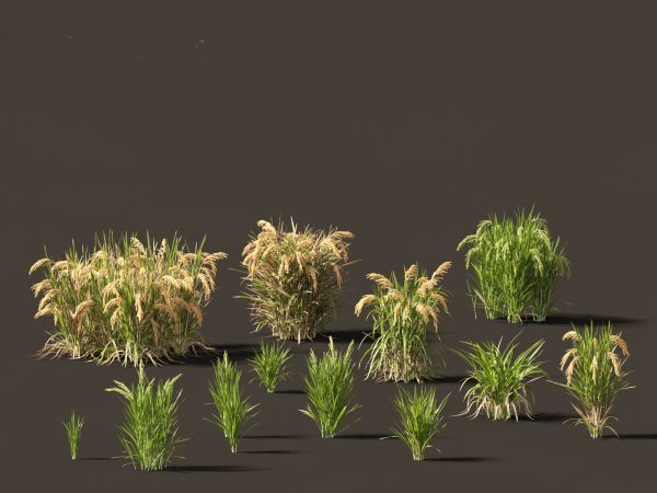 Edible Garden Plants Pack 28 - Image 13
