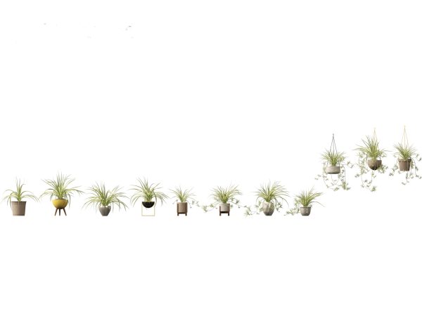 Chic Indoor Potted Plants Pack 27 - Image 4