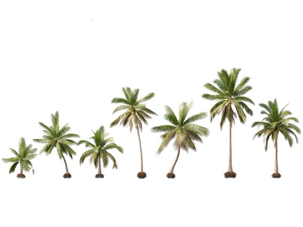 Tropical Giants & Blooms Pack 01 - Image 4