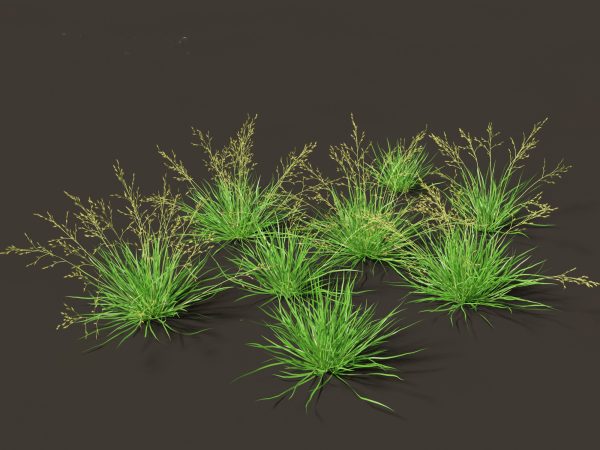Meadow & Grassland Plants Pack 34 - Image 28