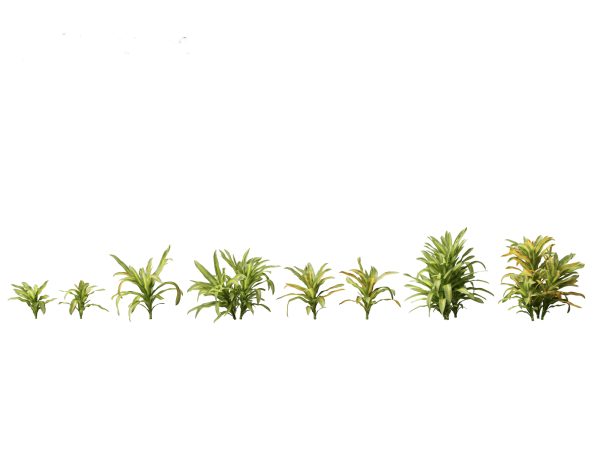 Jungle Foliage Pack 16 - Image 8