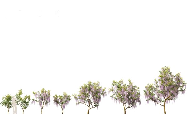 Asian Garden Flora Pack 13 - Image 16
