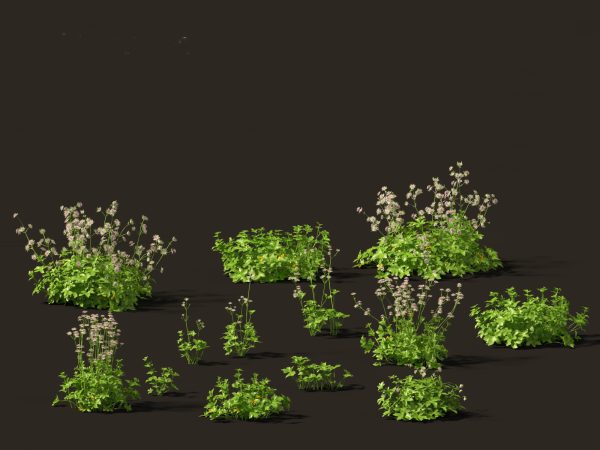 Garden Greenery Essentials Pack 39 - Image 5