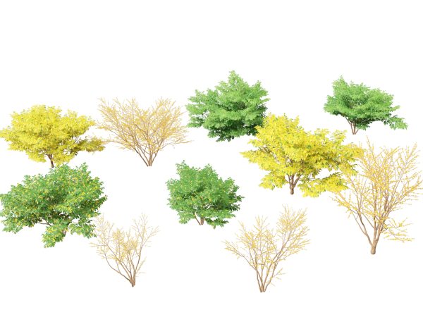 Aquatic & Wetland Plants Pack 45 - Image 11