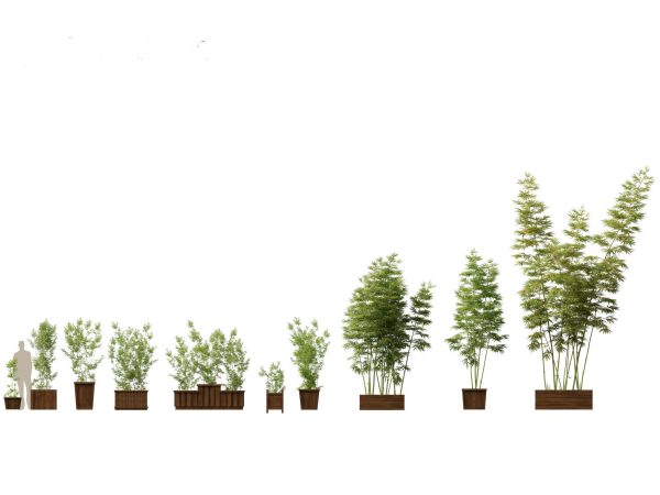 Large Potted Greenery Pack 40 - Image 4