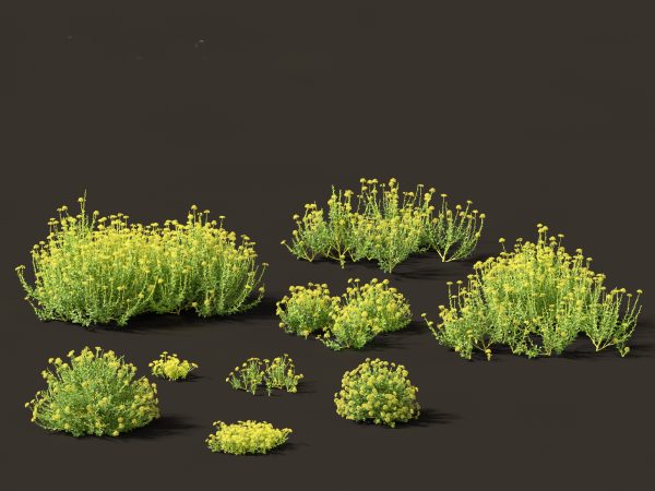 Flowering Garden Shrubs Pack 47 - Image 7