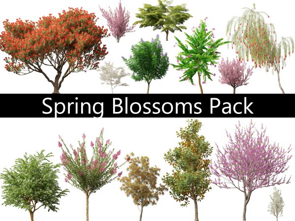 Spring Blossoms Pack 10