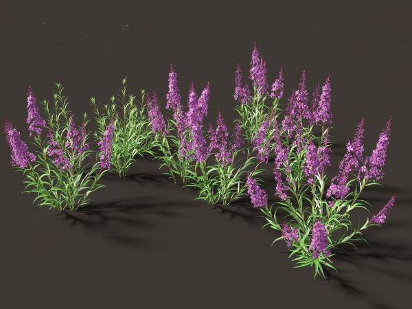 Garden Greenery Essentials Pack 39 - Image 12