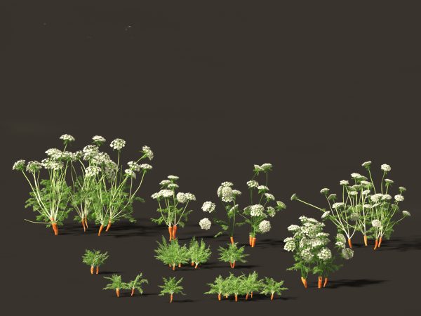 Edible Garden Plants Pack 28 - Image 9