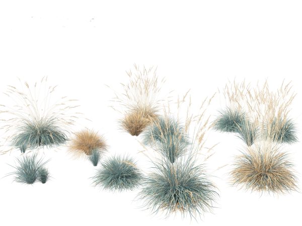 Elegant Bamboo & Grasses Pack 33 - Image 21