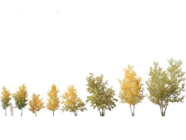 Autumn Colors Collection Pack 06 - Image 6