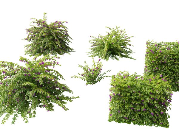Tropical & Architectural Foliage Pack 51 - Image 11