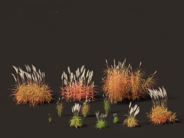 Elegant Bamboo & Grasses Pack 33 - Image 22