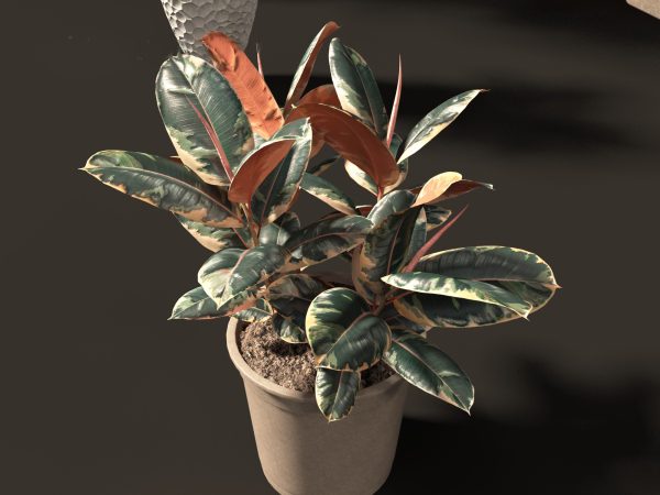 Large Potted Greenery Pack 40 - Image 22