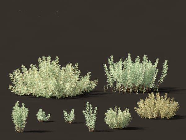 Mediterranean & Arid Plants Pack 44 - Image 29
