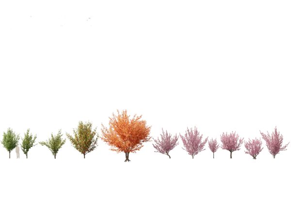Spring Blossoms Pack 10 - Image 14