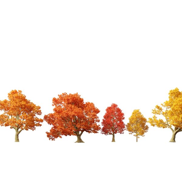 Urban Streetscape Trees Pack 11 - Image 3
