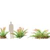 Acrostichum aureum - Golden leather fern 3D Model - Image 9