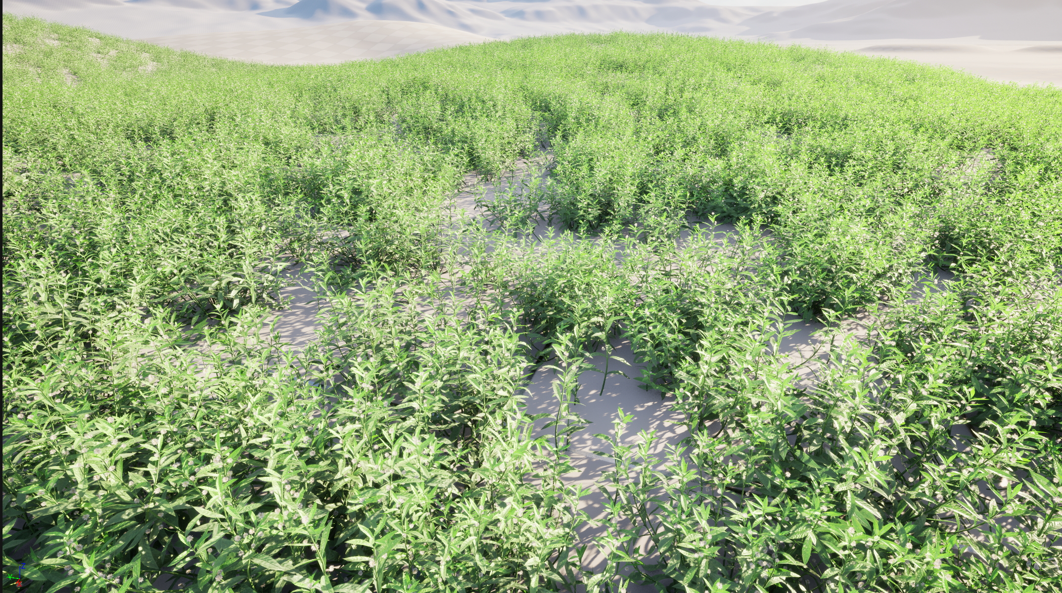 UE5 Nanite Wind Plants - Alternanthera philoxeroides - alligator weed - Image 2