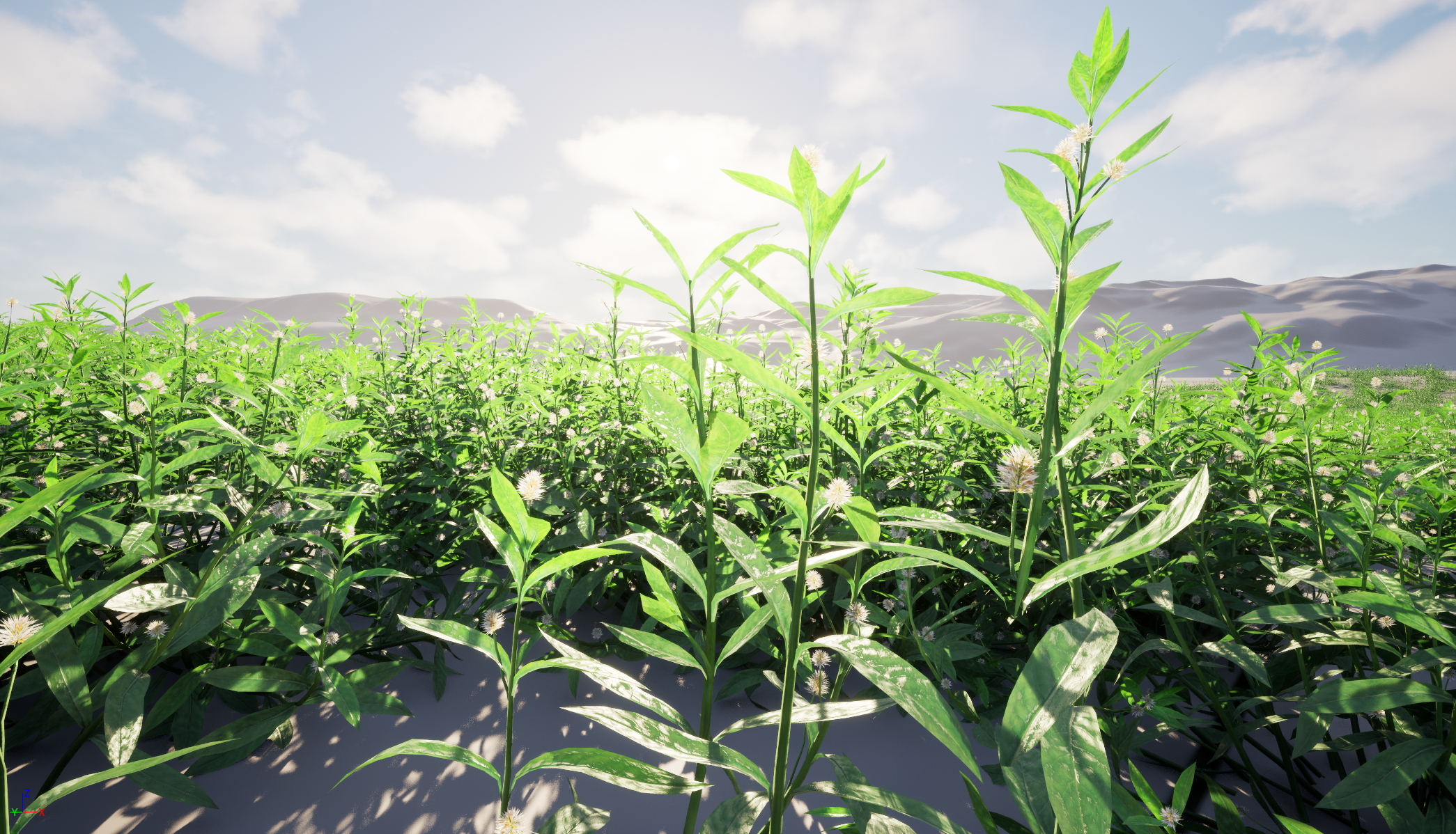 UE5 Nanite Wind Plants - Alternanthera philoxeroides - alligator weed - Image 8