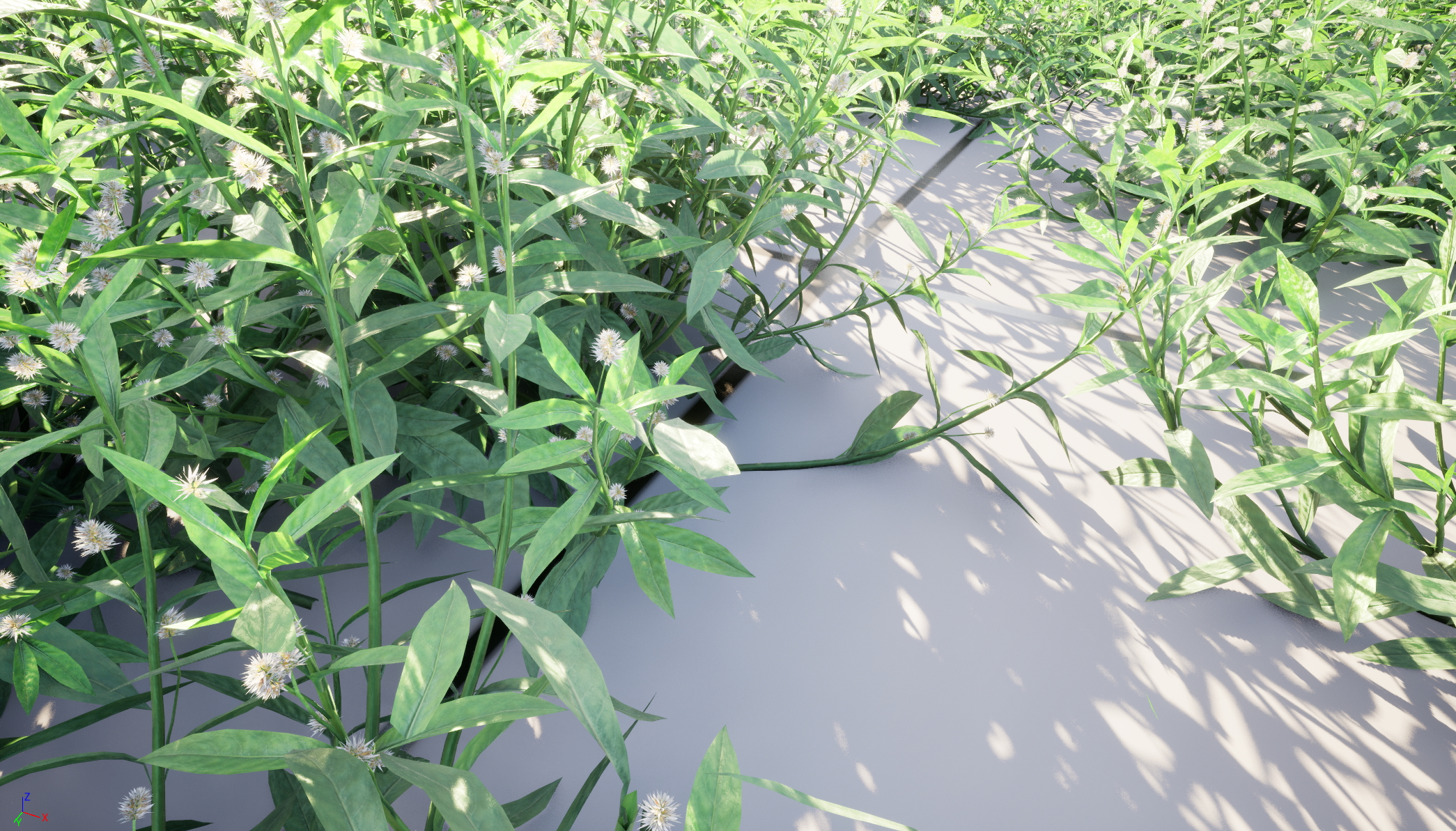 UE5 Nanite Wind Plants - Alternanthera philoxeroides - alligator weed - Image 7