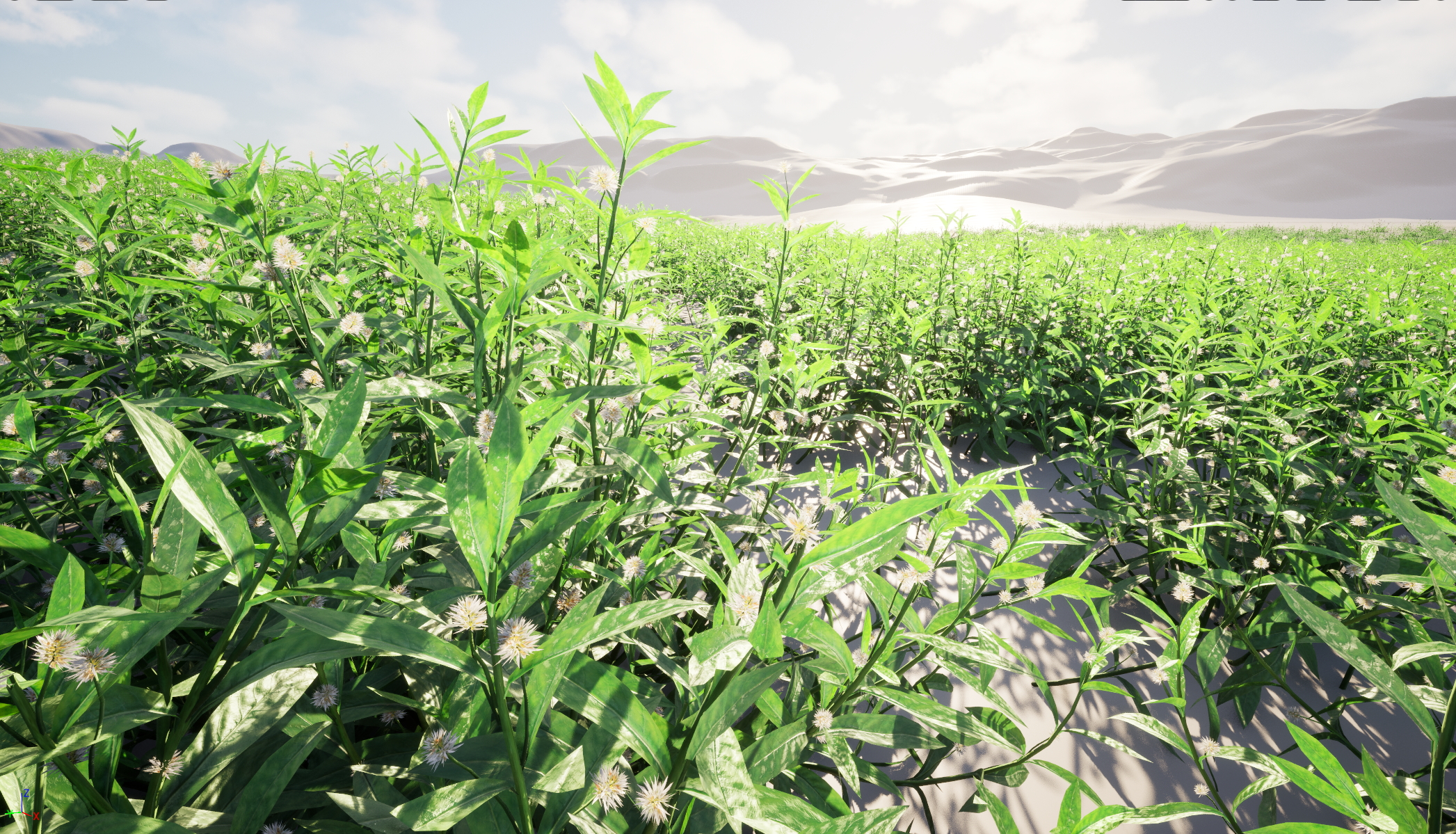 UE5 Nanite Wind Plants - Alternanthera philoxeroides - alligator weed