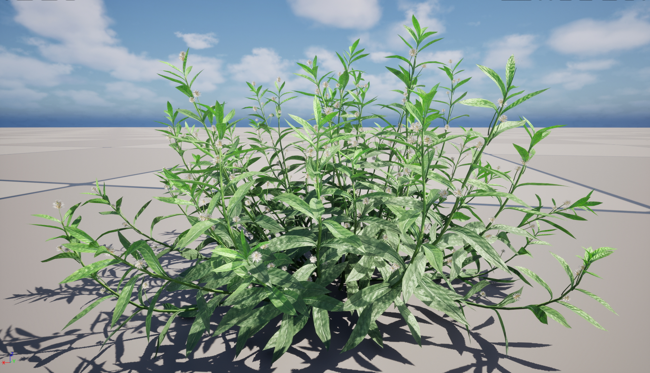 UE5 Nanite Wind Plants - Alternanthera philoxeroides - alligator weed - Image 3