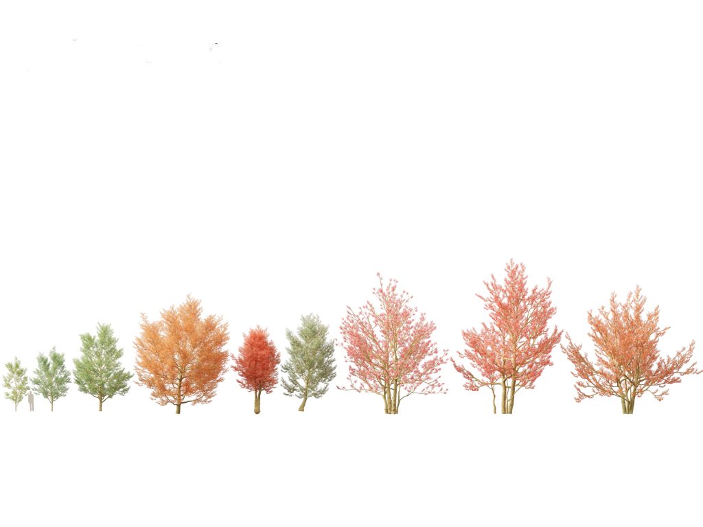 DECIDUOUS TREES 40-60mm high (Pack of 15) N/Z Gauge Busch 6585