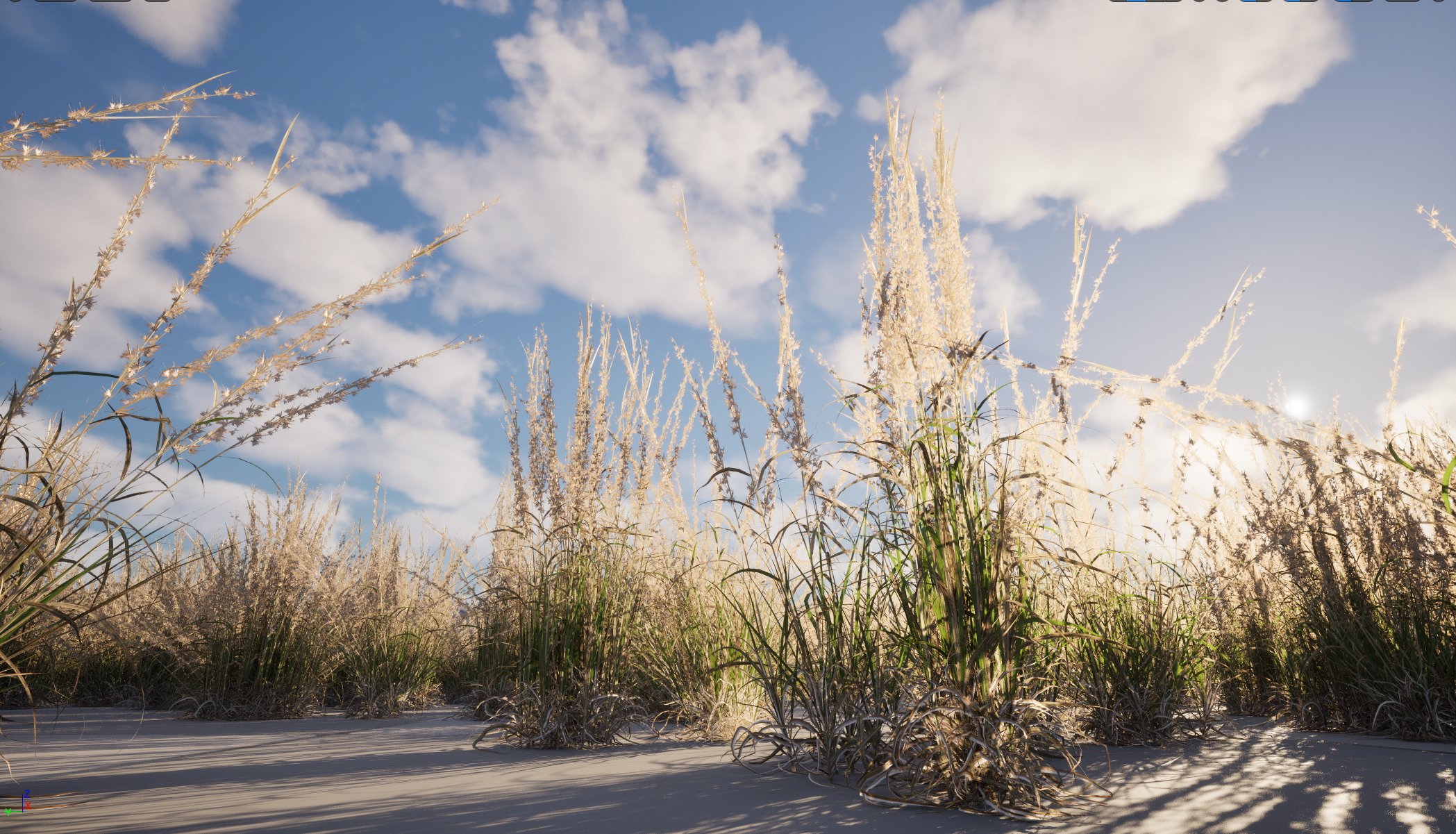 UE5 Nanite Wind Plants - Andropogon virginicus – Broomsedge