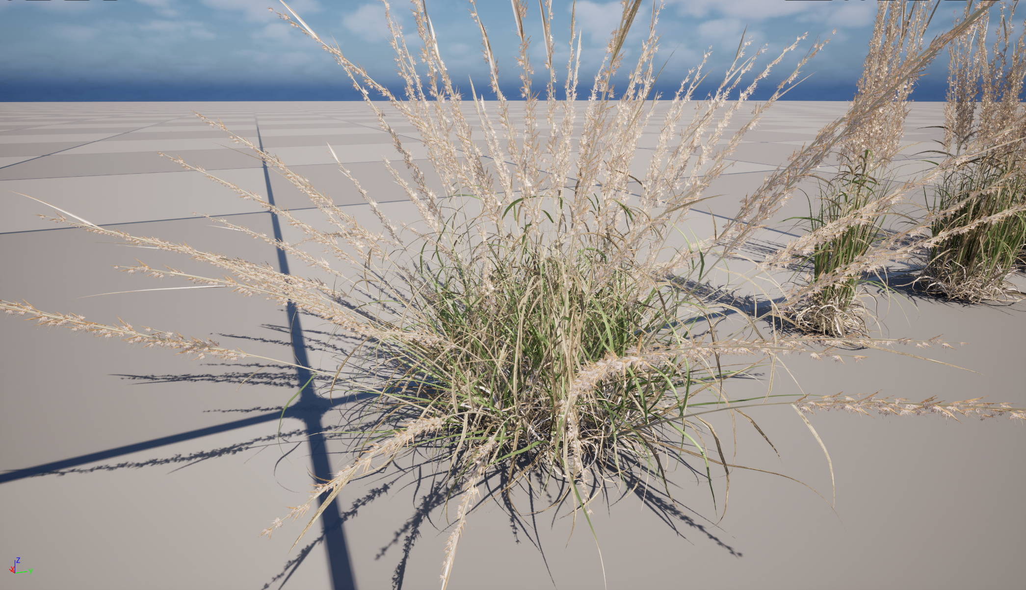 UE5 Nanite Wind Plants - Andropogon virginicus – Broomsedge - Image 3