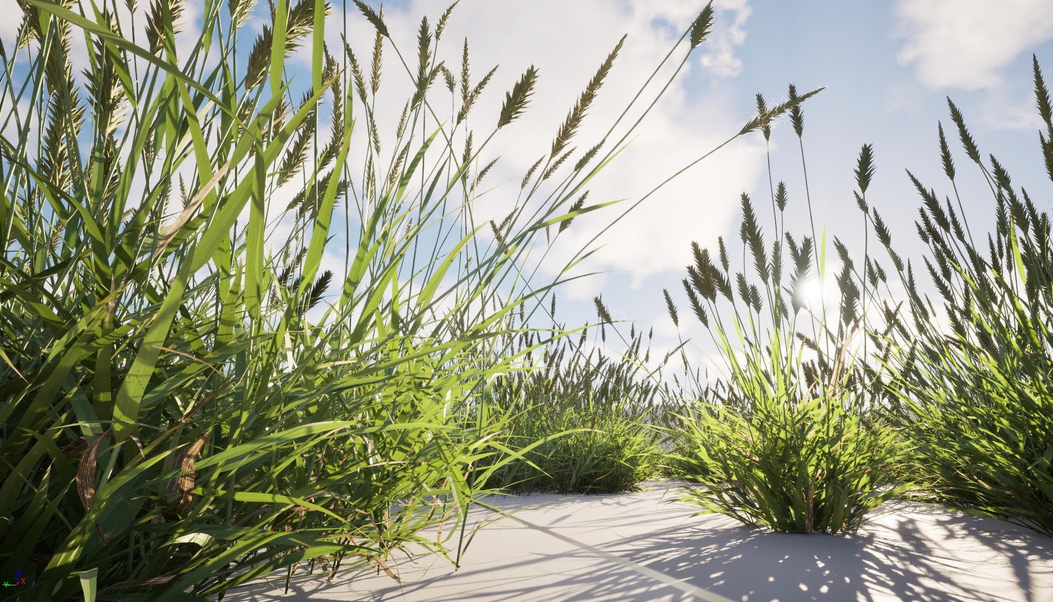UE5 Nanite Wind Plants - Anthoxanthum odoratum – Sweet vernal grass - Image 6