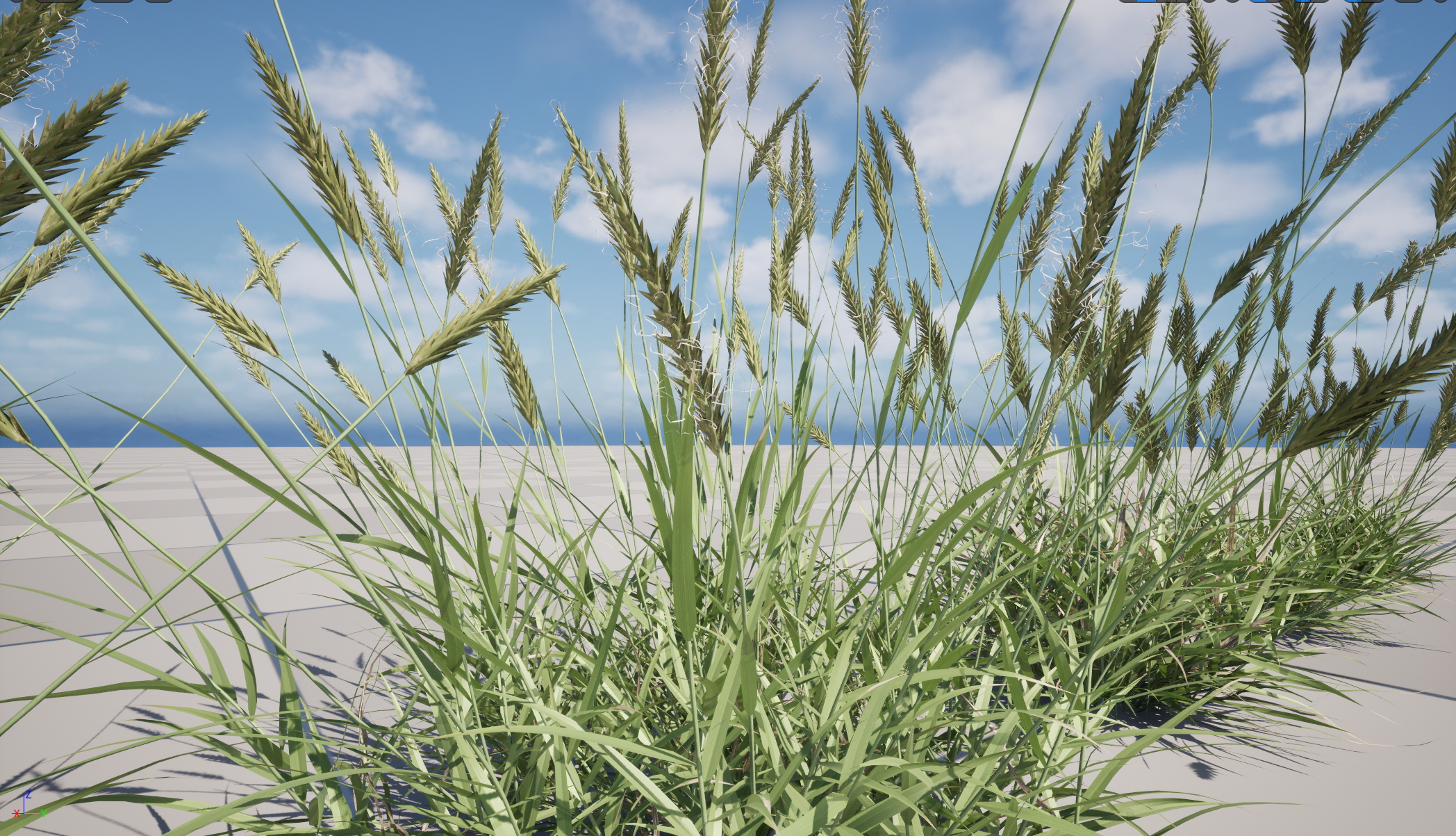 UE5 Nanite Wind Plants - Anthoxanthum odoratum – Sweet vernal grass - Image 4